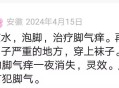 用柳树叶治脚气止痒的方法