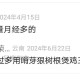 月经过多止血最有效方法