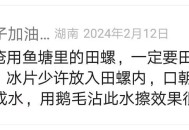 治疗用田螺治痔疮的方法