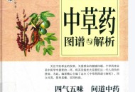【中医爱好者必备】《中草药图谱与解析》中草药鉴别 四气五味问道中药中草药图谱与解析.pdf