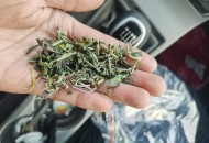 别不把胃病当回事！从胃炎到胃癌仅需4几年，早治疗要根除