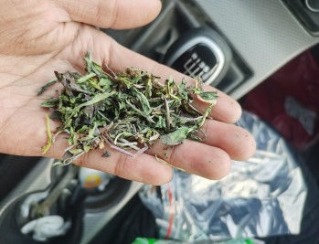 姥爷正月初九确诊了胃癌症晚期，没有告诉他老人家，想咨询一下治疗的话有希望吗