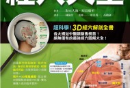 超清版中医穴位经络大全经穴大全