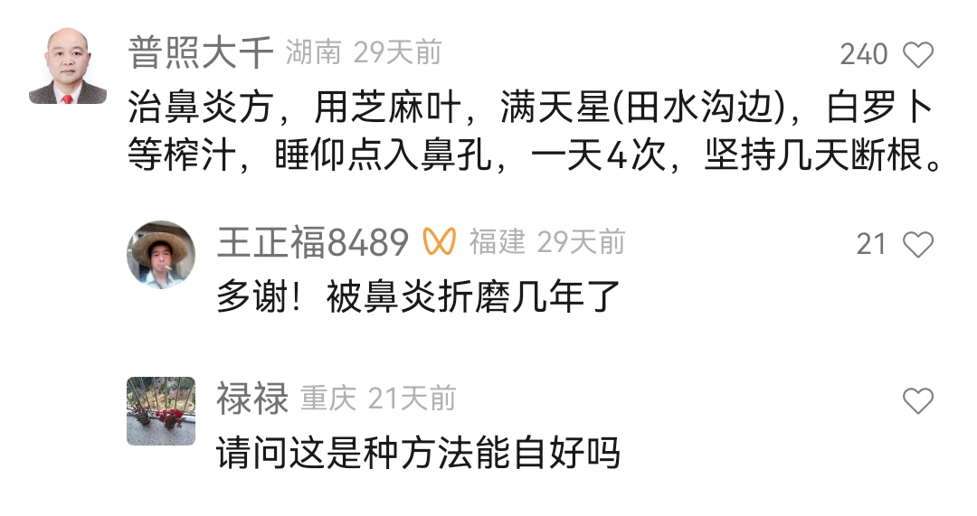治疗鼻炎的中药偏方