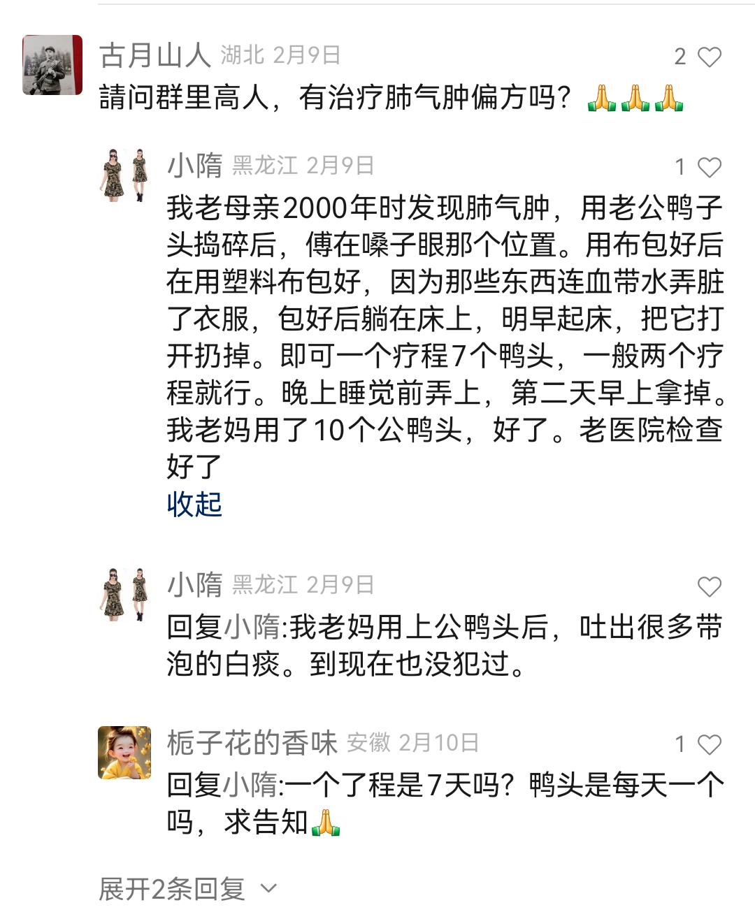 治疗肺气肿的中药偏方