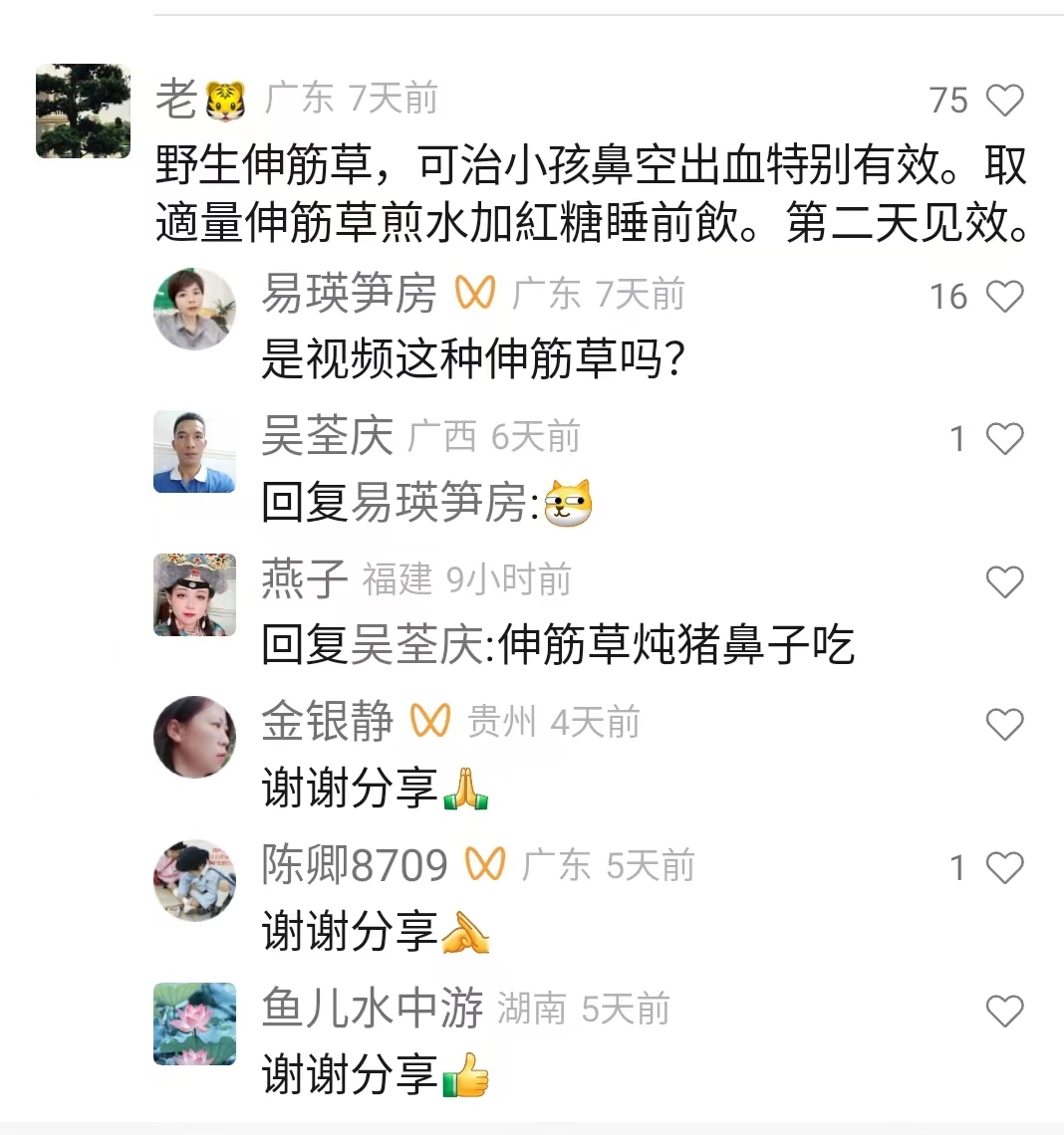 治疗小孩鼻孔出血的中药偏方