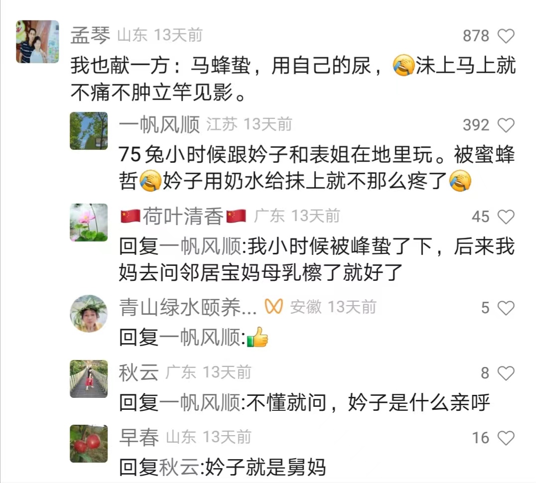 马蜂蛰快速消肿，五步之内必有解药