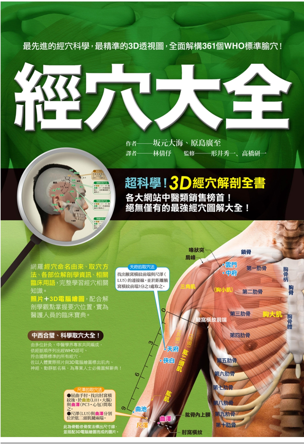超清版中医穴位经络大全经穴大全