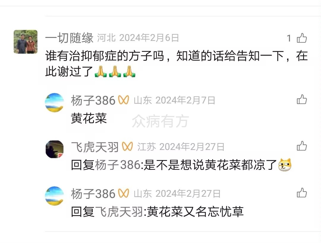 谁有治抑郁症的方子吗，知道的话给告知一下，在此谢过了