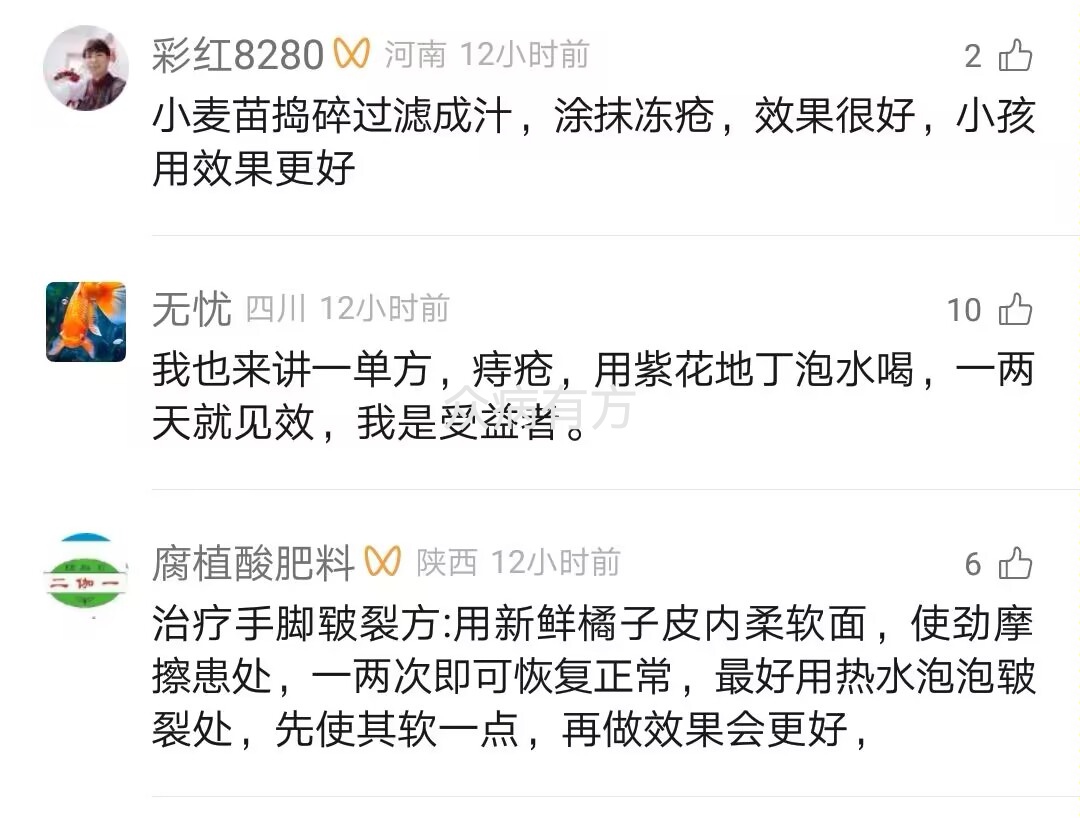 紫花地丁治痔疮到底效果怎么样