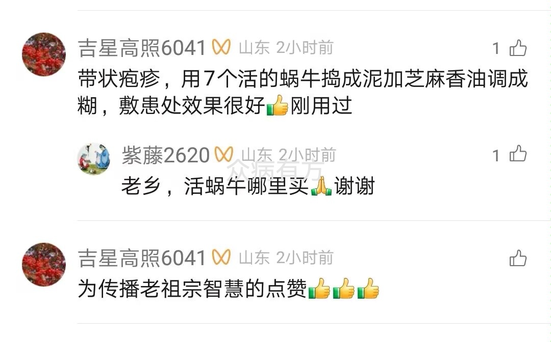 带状疱疹用蜗牛治疗的方法