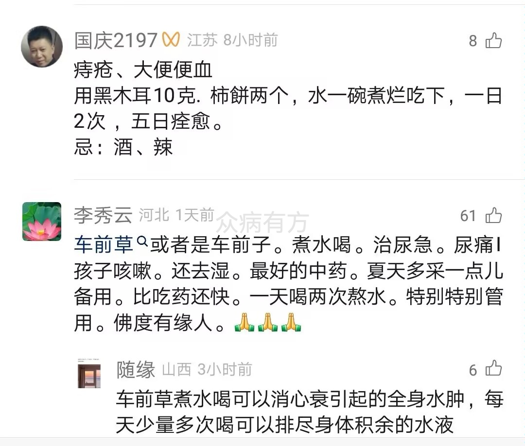 痔疮大便出血用黑木耳的偏方