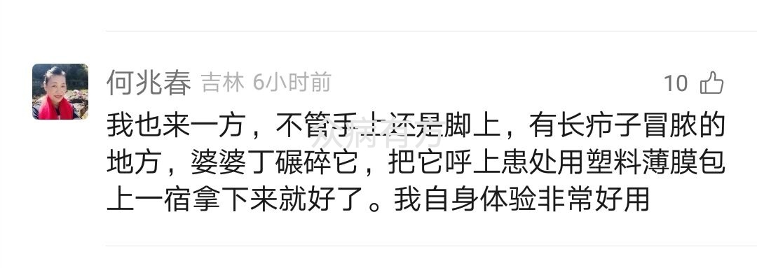 用婆婆丁治疗子流脓的偏方