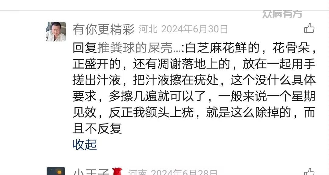用花骨朵治疗疣的偏方而且不反复