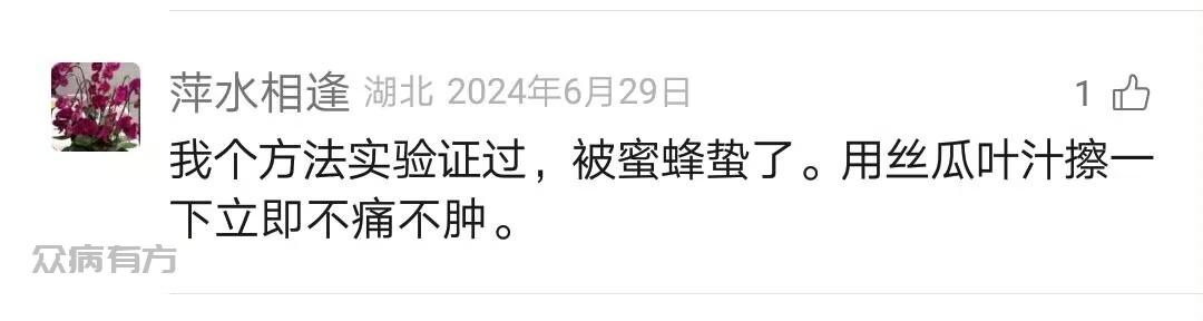用丝瓜水治被蜜蜂蛰神奇的方法
