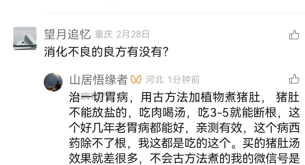 用猪肚治一切胃病，老胃病没有好不了的，没效果说明你没煮对